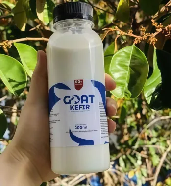 Goat Kefir A