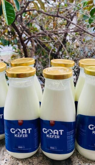 Goat Kefir S