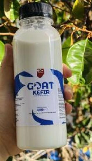 Goat Kefir A